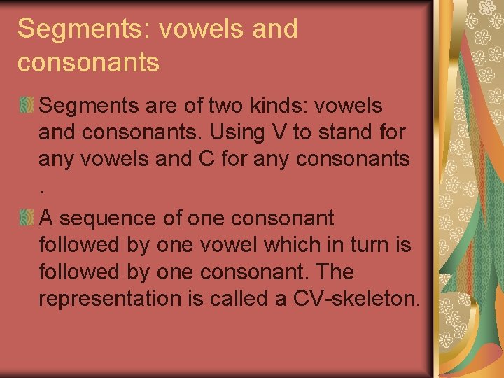 Segments: vowels and consonants Segments are of two kinds: vowels and consonants. Using V