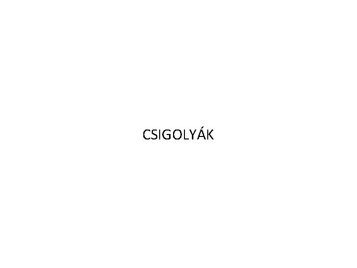 CSIGOLYÁK 