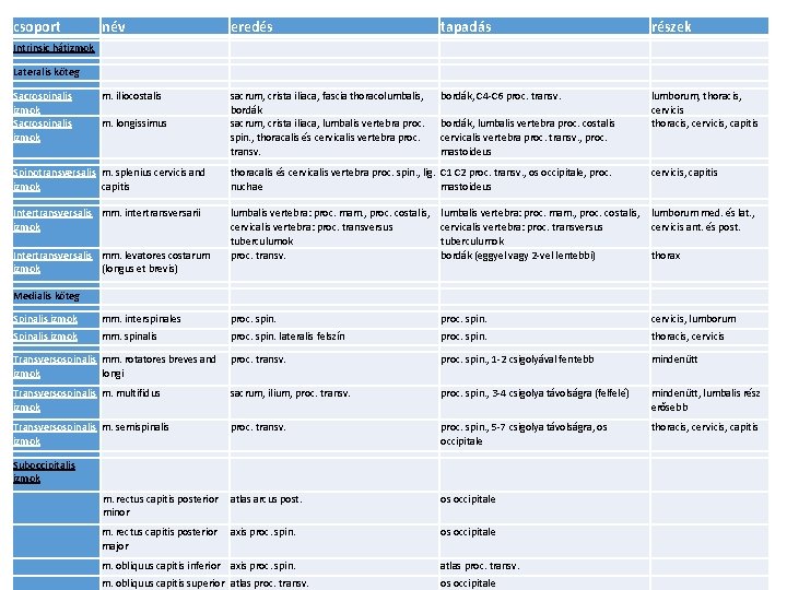 csoport név eredés tapadás részek Intrinsic hátizmok Lateralis köteg Sacrospinalis izmok m. iliocostalis bordák,
