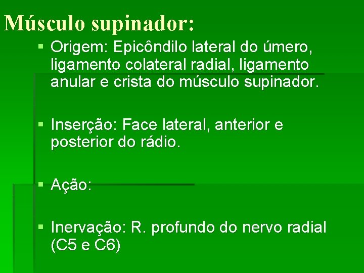 Músculo supinador: § Origem: Epicôndilo lateral do úmero, ligamento colateral radial, ligamento anular e