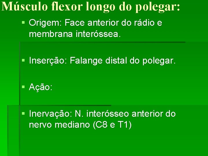 Músculo flexor longo do polegar: § Origem: Face anterior do rádio e membrana interóssea.