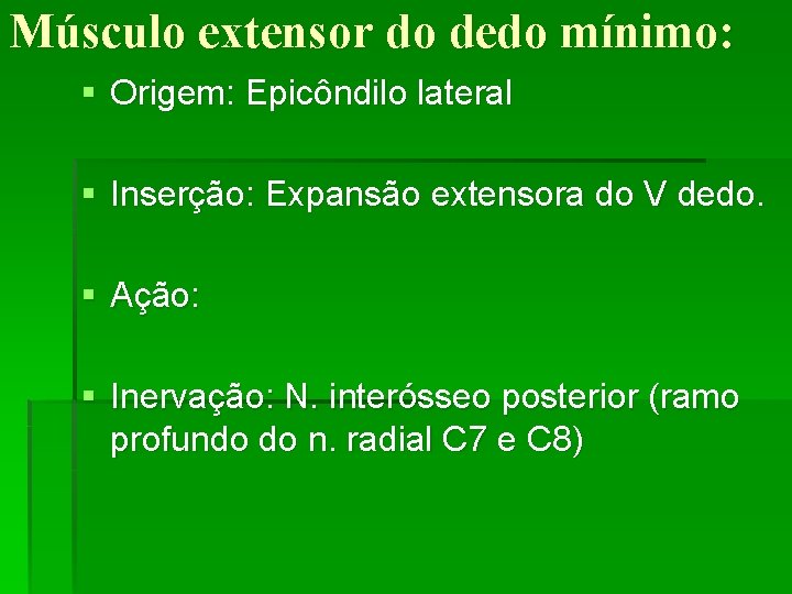 Músculo extensor do dedo mínimo: § Origem: Epicôndilo lateral § Inserção: Expansão extensora do