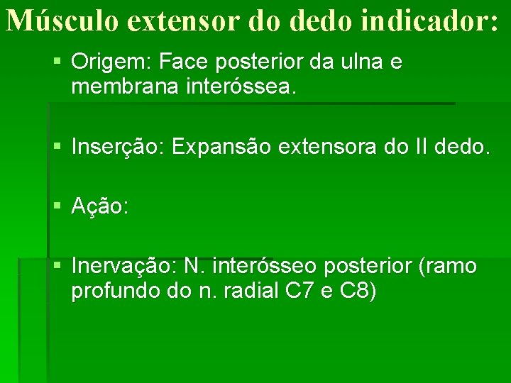 Músculo extensor do dedo indicador: § Origem: Face posterior da ulna e membrana interóssea.