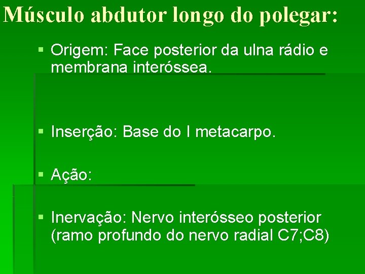 Músculo abdutor longo do polegar: § Origem: Face posterior da ulna rádio e membrana