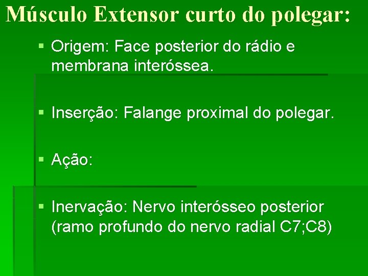 Músculo Extensor curto do polegar: § Origem: Face posterior do rádio e membrana interóssea.