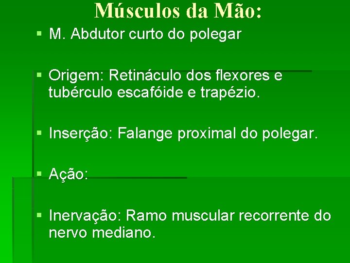 Músculos da Mão: § M. Abdutor curto do polegar § Origem: Retináculo dos flexores