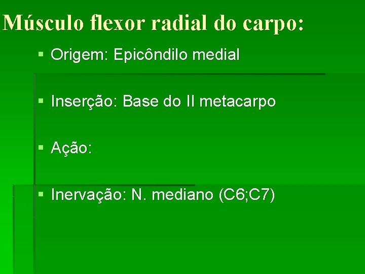 Músculo flexor radial do carpo: § Origem: Epicôndilo medial § Inserção: Base do II