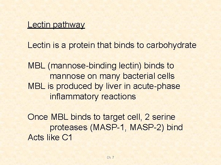 Lectin pathway Lectin is a protein that binds to carbohydrate MBL (mannose-binding lectin) binds