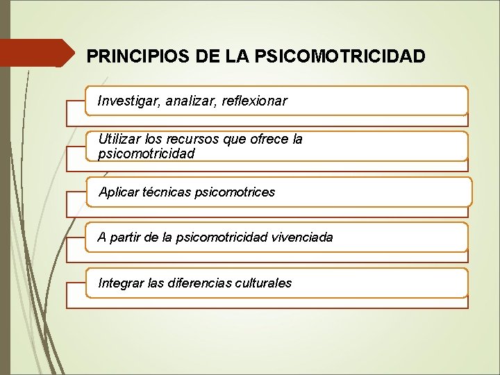 PRINCIPIOS DE LA PSICOMOTRICIDAD Investigar, analizar, reflexionar Utilizar los recursos que ofrece la psicomotricidad