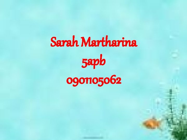 Sarah Martharina 5 apb 0901105062 