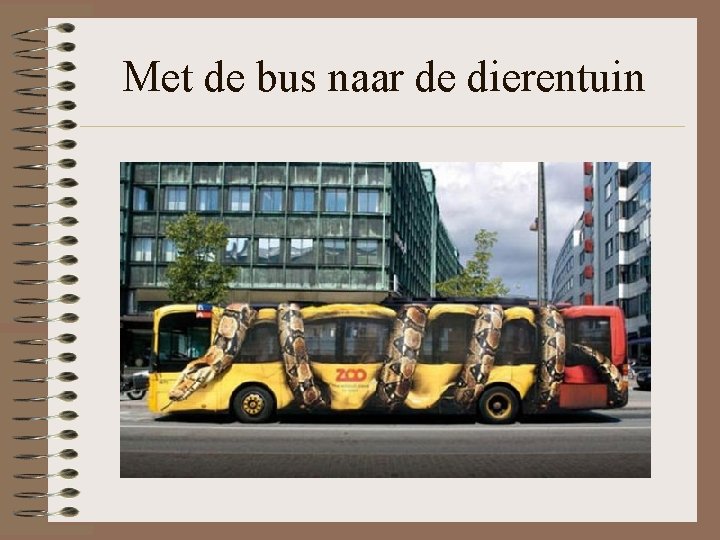 Met de bus naar de dierentuin 