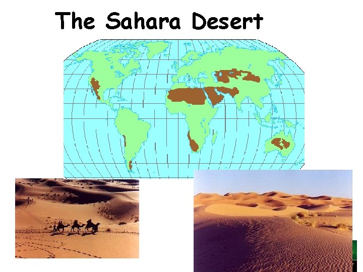 The Sahara Desert 