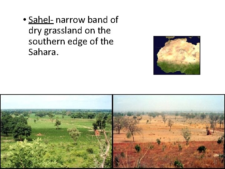  • Sahel- narrow band of dry grassland on the southern edge of the