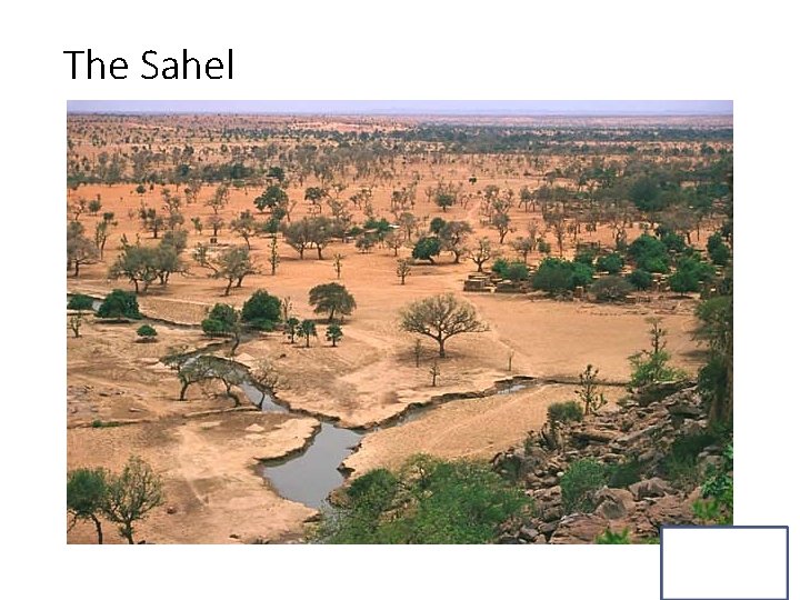 The Sahel 