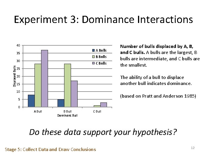 Experiment 3: Dominance Interactions 40 A Bulls 35 B Bulls Displaced Bulls 30 C