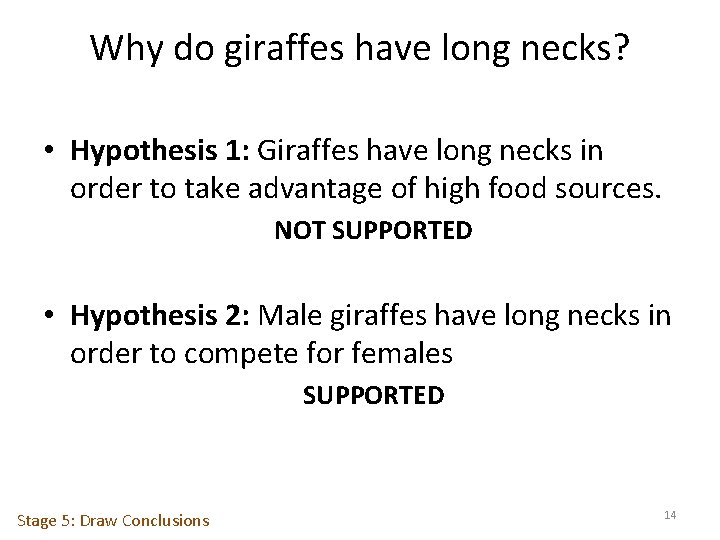 Why do giraffes have long necks? • Hypothesis 1: Giraffes have long necks in