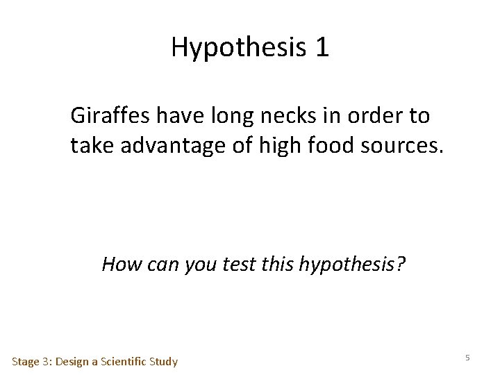 Hypothesis 1 Giraffes have long necks in order to take advantage of high food