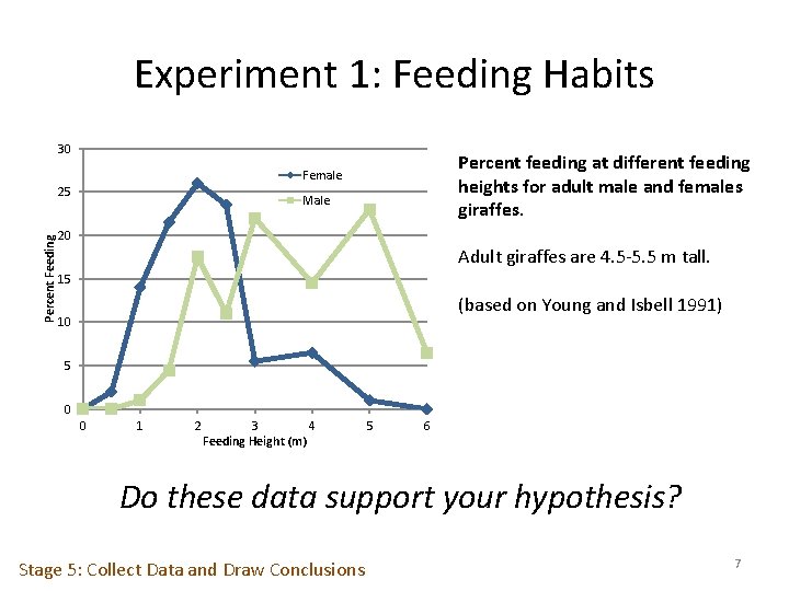 Experiment 1: Feeding Habits 30 Percent feeding at different feeding heights for adult male