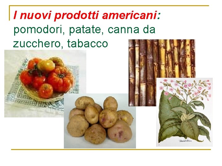 I nuovi prodotti americani: pomodori, patate, canna da zucchero, tabacco 