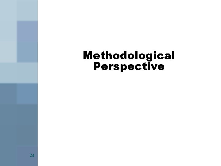 Methodological Perspective 24 