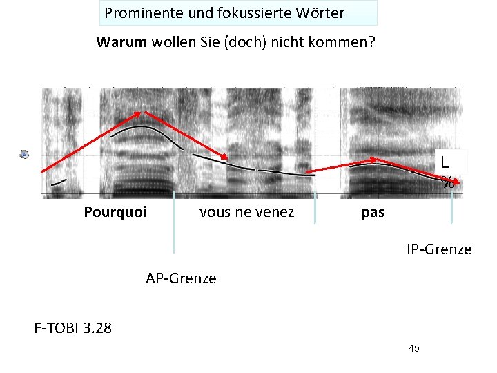 Prominente und fokussierte Wörter Warum wollen Sie (doch) nicht kommen? L % Pourquoi vous