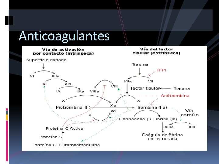 Anticoagulantes 