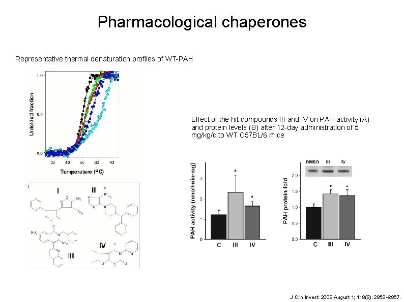 Pharmacological chaperones Representative thermal denaturation profiles of WT-PAH Effect of the hit compounds III