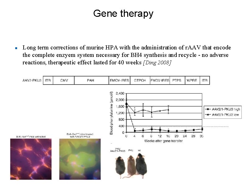 Gene therapy Long term corrections of murine HPA with the administration of r. AAV