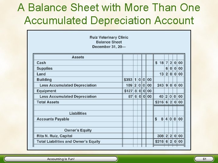 A Balance Sheet with More Than One Accumulated Depreciation Accounting Is Fun! 61 