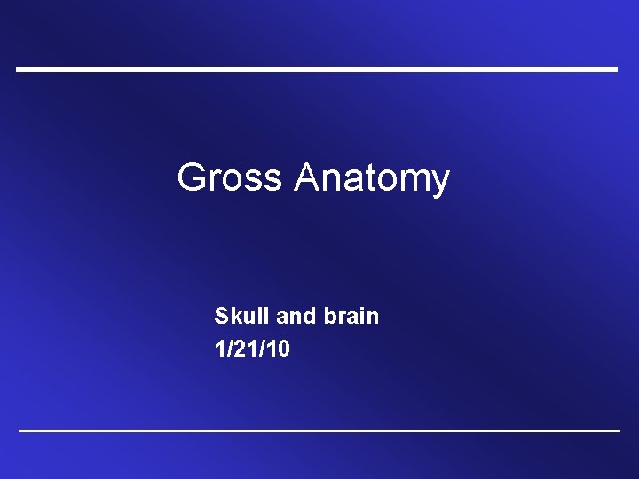 Gross Anatomy Skull and brain 1/21/10 