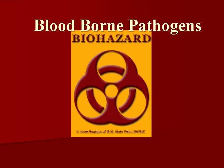 Blood Borne Pathogens 