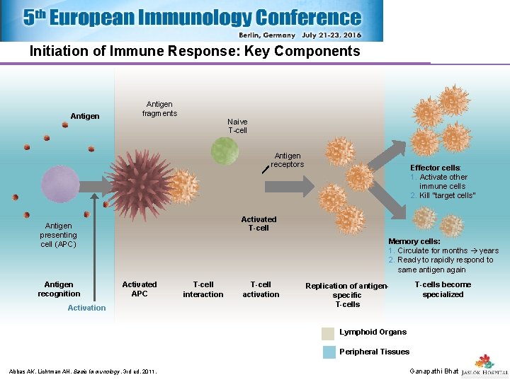 Initiation of Immune Response: Key Components Antigen fragments Naive T-cell Antigen receptors Activated T-cell Initiation of Immune Response: Key Components Antigen fragments Naive T-cell Antigen receptors Activated T-cell