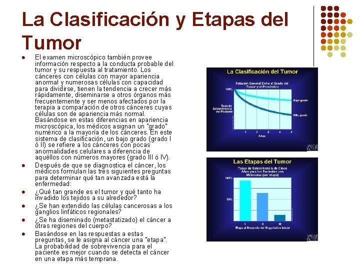 La Clasificación y Etapas del Tumor l l l El examen microscópico también provee