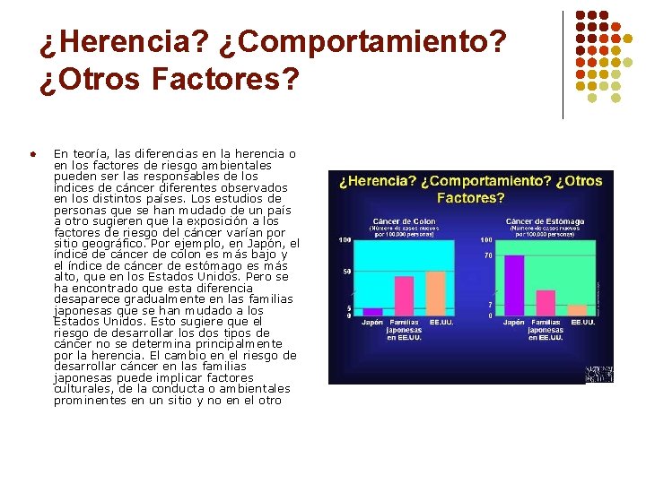 ¿Herencia? ¿Comportamiento? ¿Otros Factores? l En teoría, las diferencias en la herencia o en