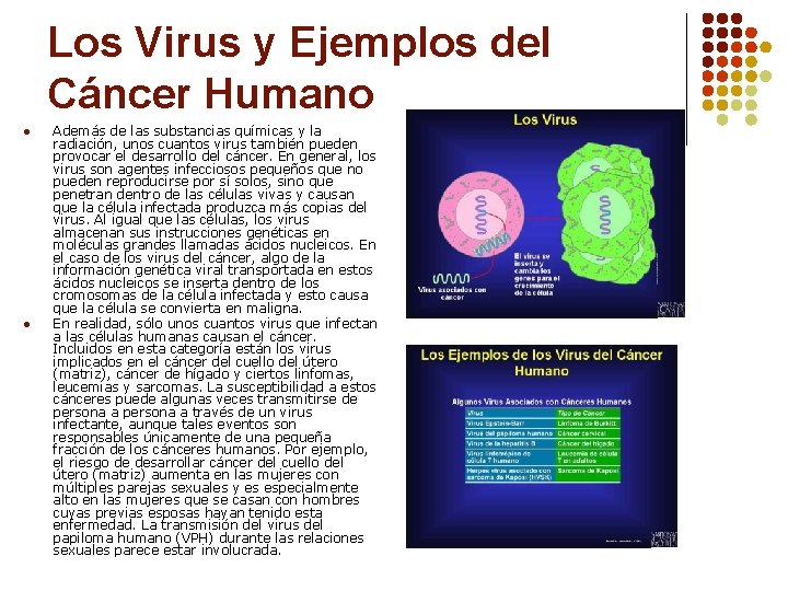 Los Virus y Ejemplos del Cáncer Humano l l Además de las substancias químicas