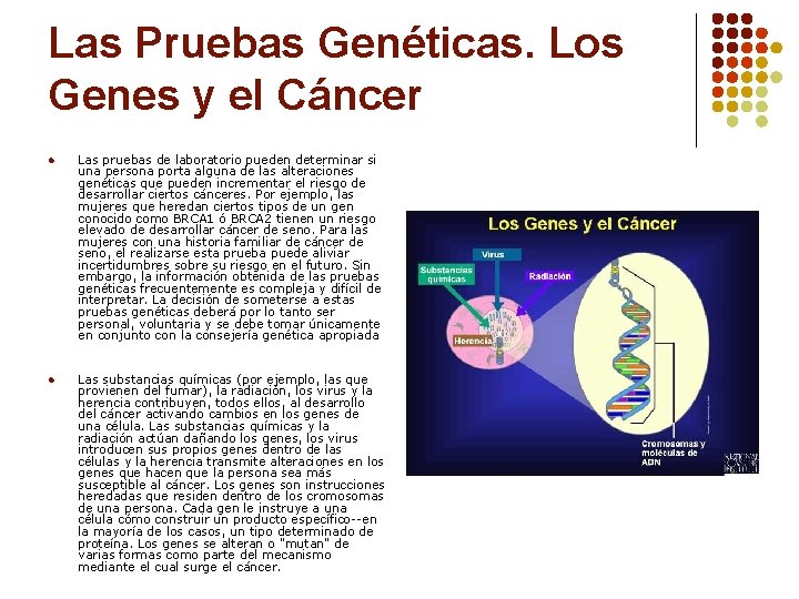 Las Pruebas Genéticas. Los Genes y el Cáncer l Las pruebas de laboratorio pueden