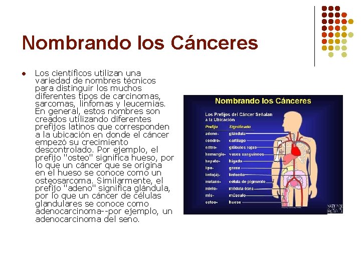 Nombrando los Cánceres l Los científicos utilizan una variedad de nombres técnicos para distinguir