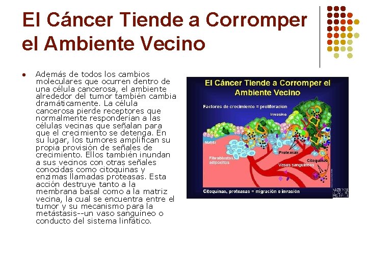 El Cáncer Tiende a Corromper el Ambiente Vecino l Además de todos los cambios