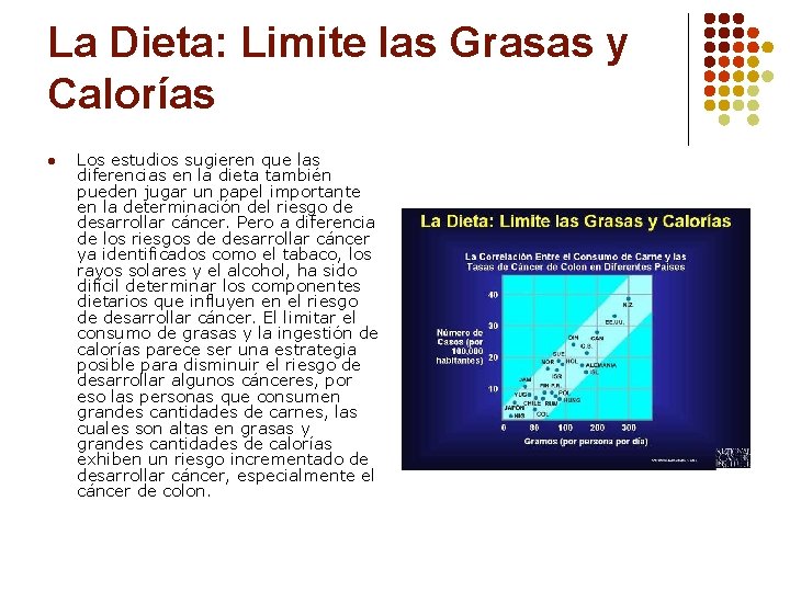 La Dieta: Limite las Grasas y Calorías l Los estudios sugieren que las diferencias