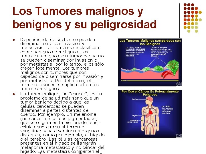 Los Tumores malignos y benignos y su peligrosidad l l Dependiendo de si ellos