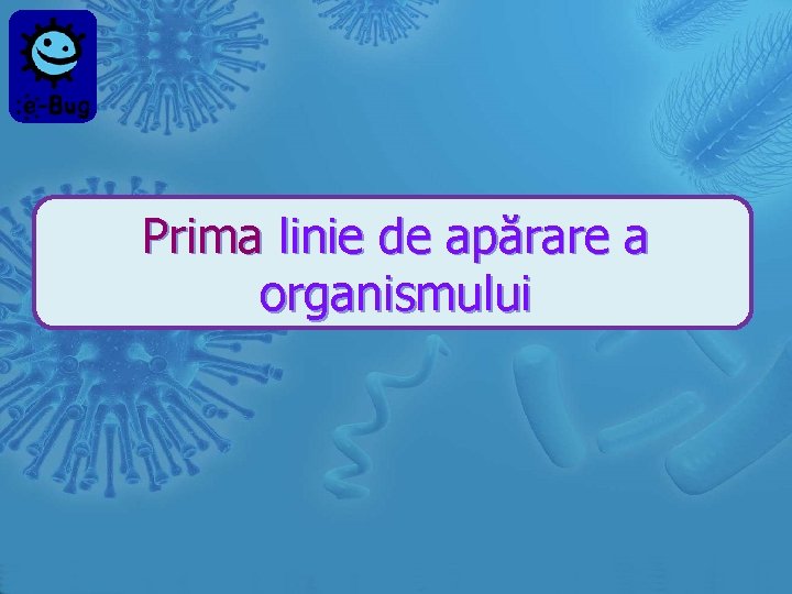 Prima linie de apărare a organismului 