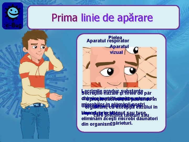Prima linie de apărare Pielea Aparatul respirator Aparatul vizual Lacrimile substanţe Secreţiile produc nazale