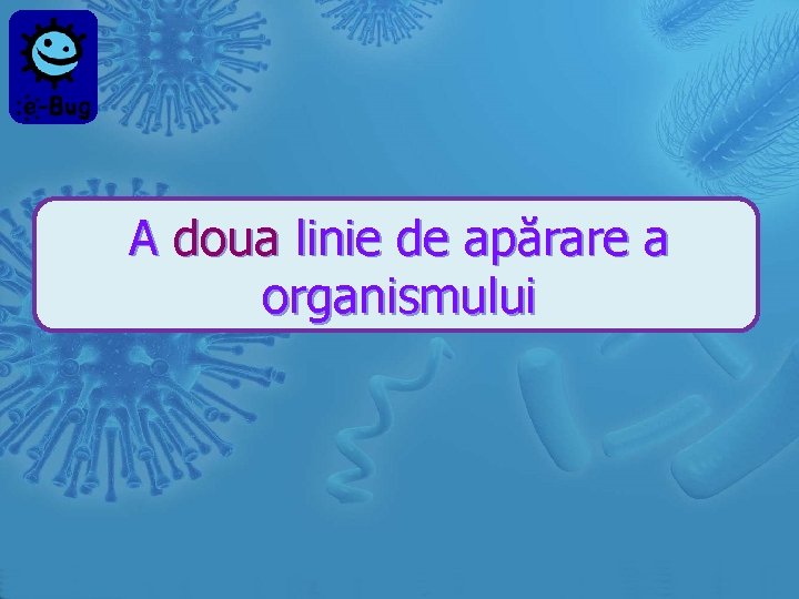 A doua linie de apărare a organismului 