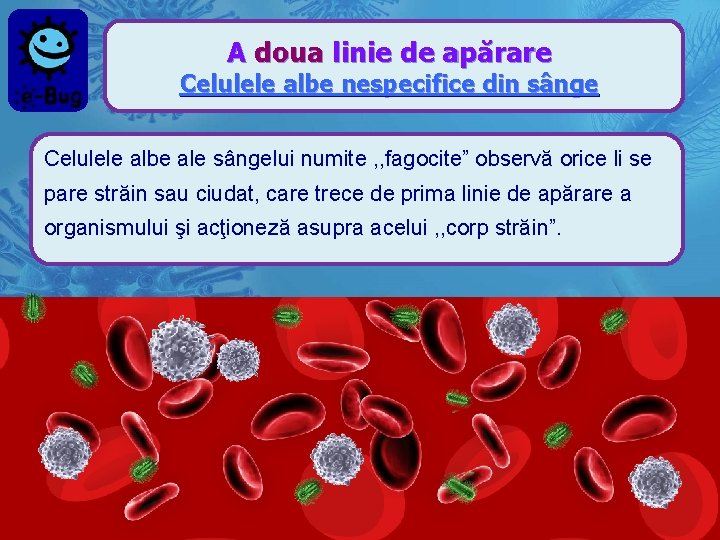A doua linie de apărare Celulele albe nespecifice din sânge Celulele albe ale sângelui