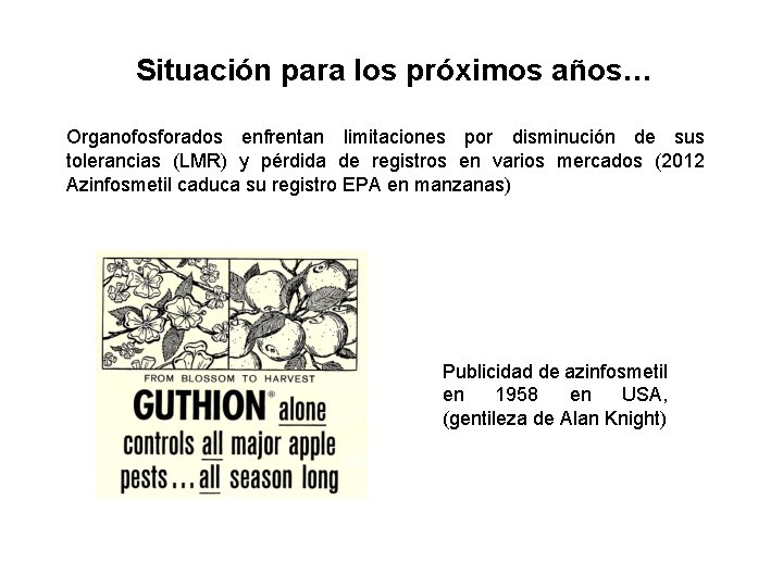 Situación para los próximos años… Organofosforados enfrentan limitaciones por disminución de sus tolerancias (LMR)