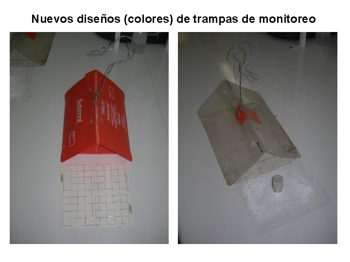 Nuevos diseños (colores) de trampas de monitoreo 