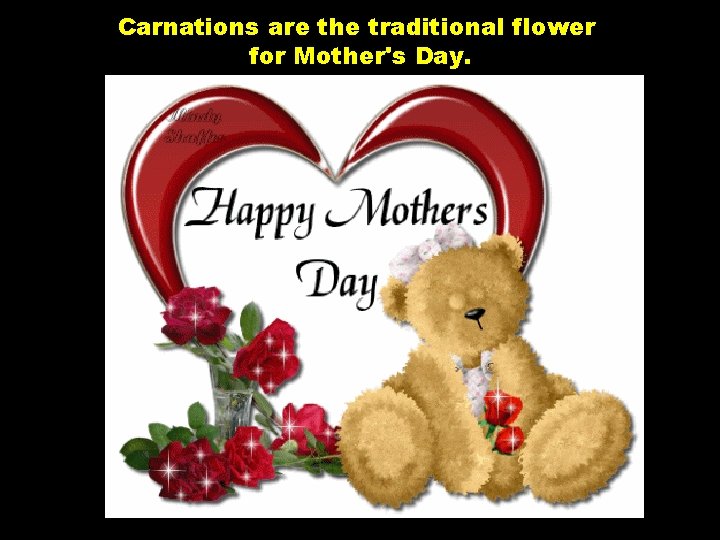 Carnations are the traditional flower for Mother's Day. 