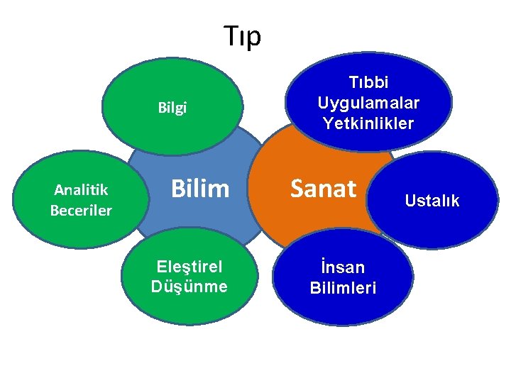 Tıp Bilgi Analitik Beceriler Bilim Eleştirel Düşünme Tıbbi Uygulamalar Yetkinlikler Sanat İnsan Bilimleri Ustalık