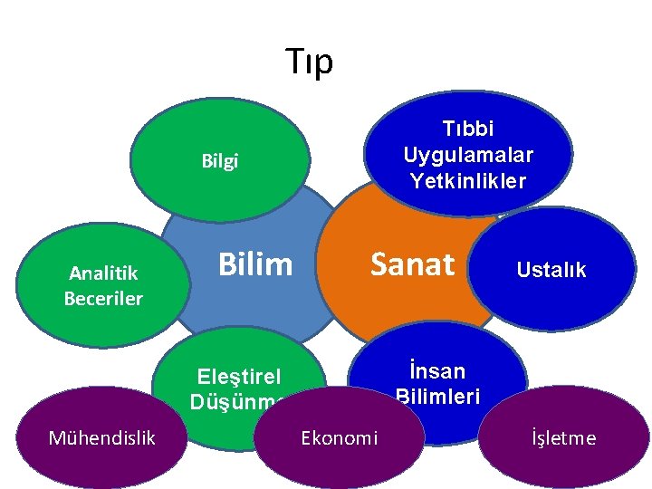 Tıp Tıbbi Uygulamalar Yetkinlikler Bilgi Analitik Beceriler Bilim Sanat İnsan Bilimleri Eleştirel Düşünme Mühendislik