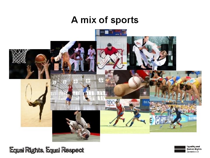 A mix of sports 